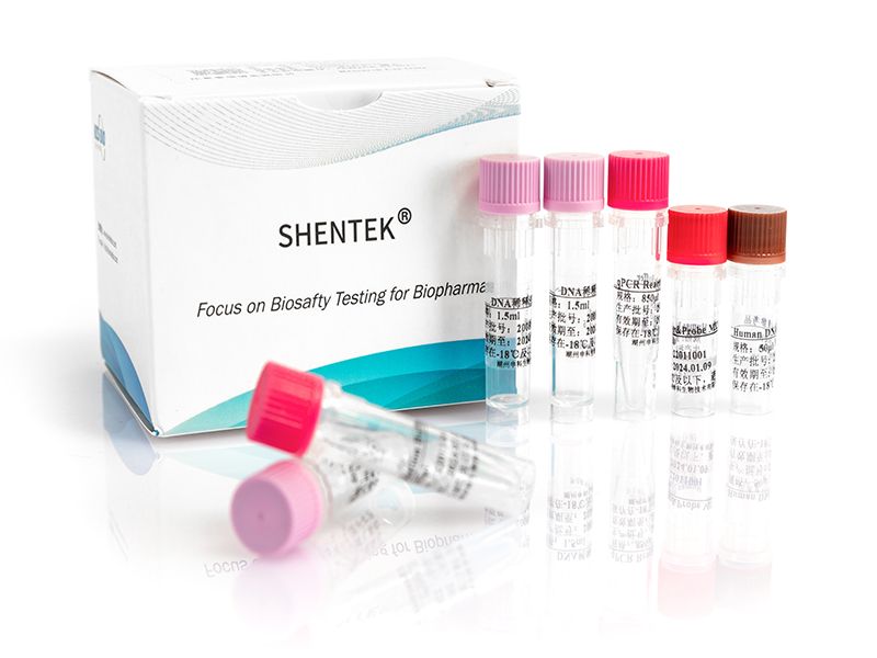 Residual Human DNA Quantitation Kit